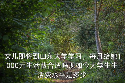 女兒即將到山東大學學習，每月給她1000元生活費合適嗎現(xiàn)如今大學生生活費水平是多少
