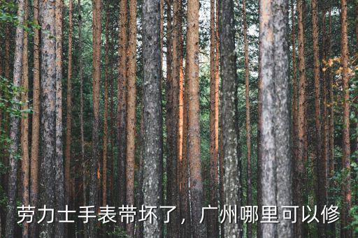 勞力士手表帶壞了，廣州哪里可以修