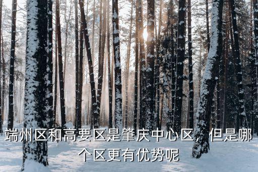 廣東省高要區哪里好,端州區和高要區是肇慶中心區