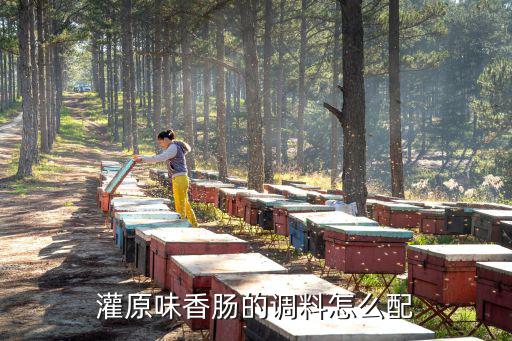 廣東原味粉里面的肉腸怎么做,廣東的原味湯粉王怎么做