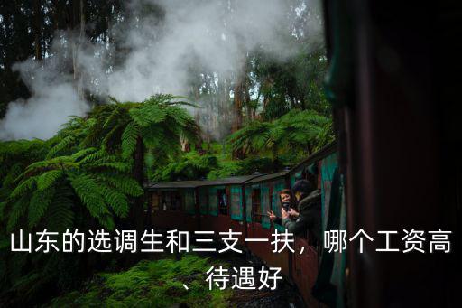 山東臨沂三支一扶工資待遇多少,三支一扶待遇怎么樣
