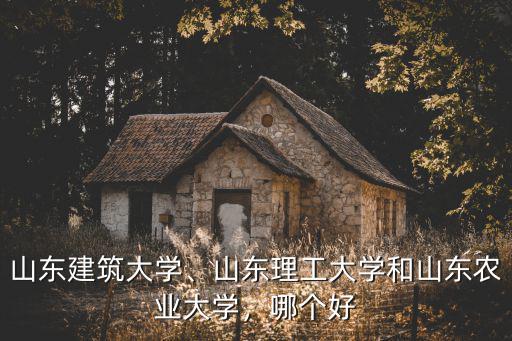 山東農大去年在山東招收了多少學生,山東理工大學和山東農業大學