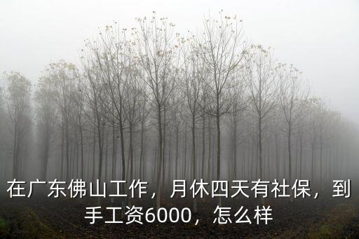 大唐廣東佛山待遇怎么樣,在廣東佛山工作
