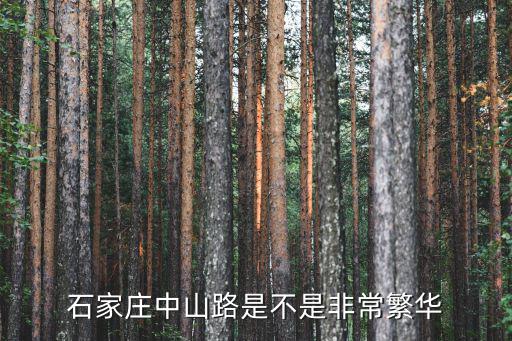 石家莊中山路怎么樣,石家莊哪里最繁華