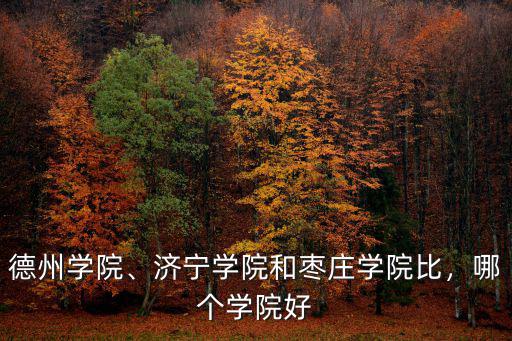 德州學(xué)院、濟(jì)寧學(xué)院和棗莊學(xué)院比，哪個(gè)學(xué)院好