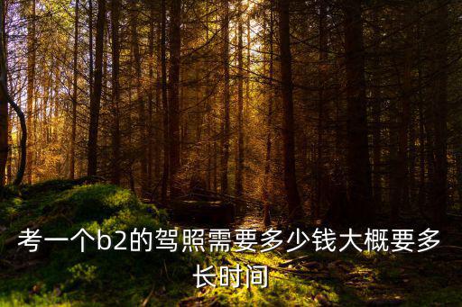 考一個b2的駕照需要多少錢大概要多長時間