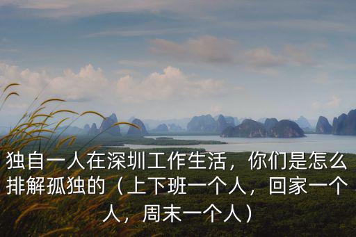 獨自一人在深圳工作生活，你們是怎么排解孤獨的（上下班一個人，回家一個人，周末一個人）