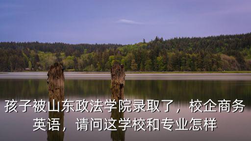 山東政法學(xué)院有多少個專業(yè),孩子被山東政法學(xué)院錄取了