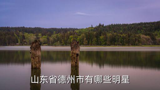 山東省德州市有哪些明星