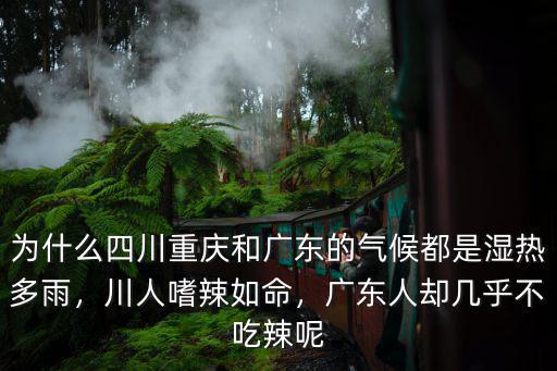 廣東人是怎么去濕的,濕氣是怎么來的