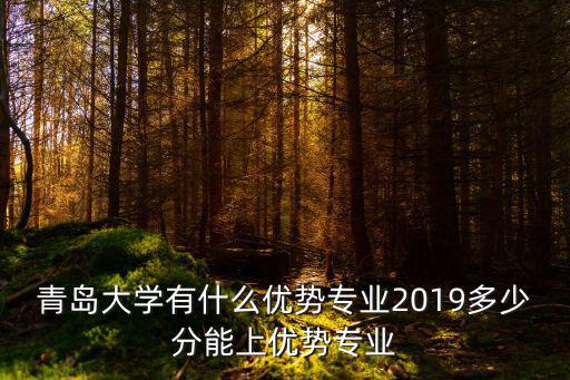 青島大學有什么優勢專業2019多少分能上優勢專業