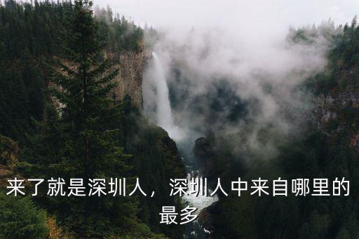 深圳市哪里公司最多,深圳哪里的工廠比較多