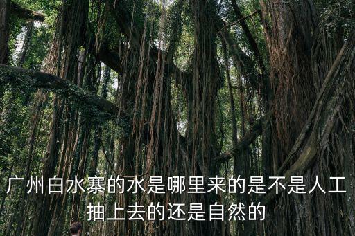 廣州白水寨的水是哪里來的是不是人工抽上去的還是自然的