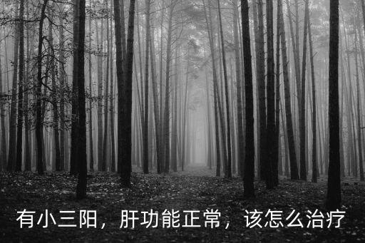有小三陽(yáng)，肝功能正常，該怎么治療