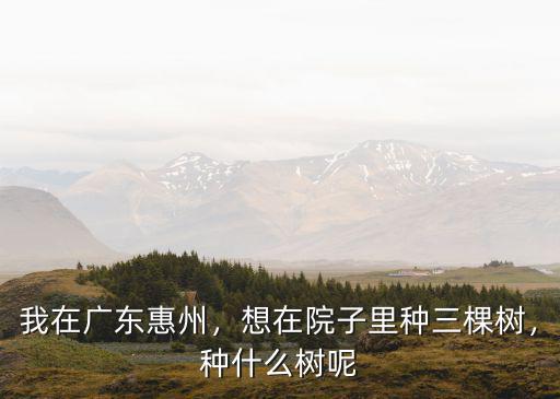 我在廣東惠州，想在院子里種三棵樹，種什么樹呢