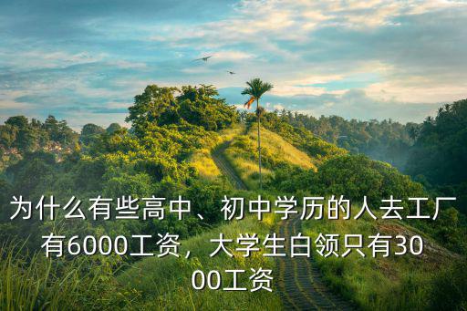 深圳工廠大學生工資多少錢,深圳富士康大學生底薪是多少