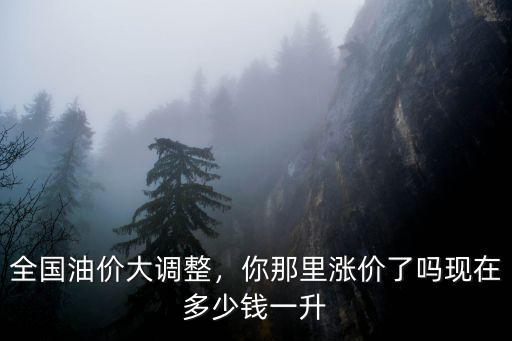 嘉興現在油價多少錢一升,全國油價大調整