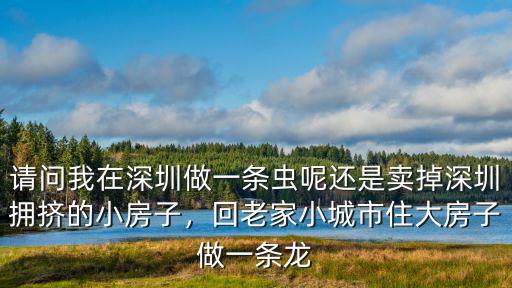 請問我在深圳做一條蟲呢還是賣掉深圳擁擠的小房子，回老家小城市住大房子做一條龍