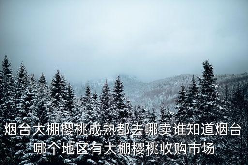 煙臺櫻桃價格多少,當?shù)厥袌錾蠙烟业膬r格貴嗎