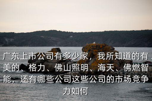 佛山有多少家公司,廣東上市公司有多少家