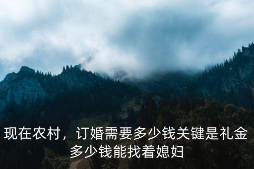 現在農村，訂婚需要多少錢關鍵是禮金多少錢能找著媳婦