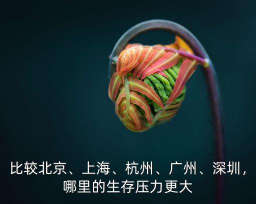 比較北京、上海、杭州、廣州、深圳，哪里的生存壓力更大