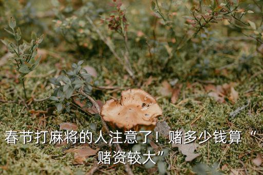 浙江省溫州市打麻將多少錢算賭,打麻將多少錢以上屬于賭博