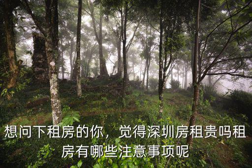 想問下租房的你，覺得深圳房租貴嗎租房有哪些注意事項(xiàng)呢