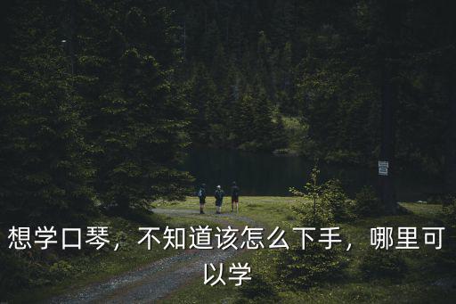 想學口琴，不知道該怎么下手，哪里可以學
