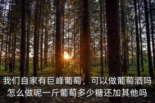 深圳巨峰葡萄多少一斤,我們自家有巨峰葡萄