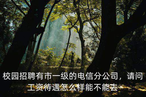 中信保深圳分公司效益怎么樣,請問工資待遇怎么樣