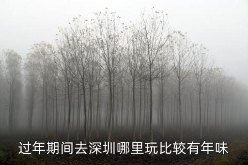 過年期間去深圳哪里玩比較有年味