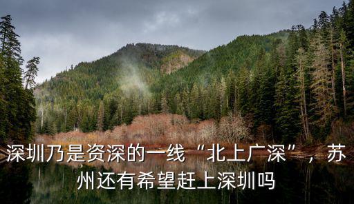 深圳是怎么進入一線的,深圳為什么會是一線城市
