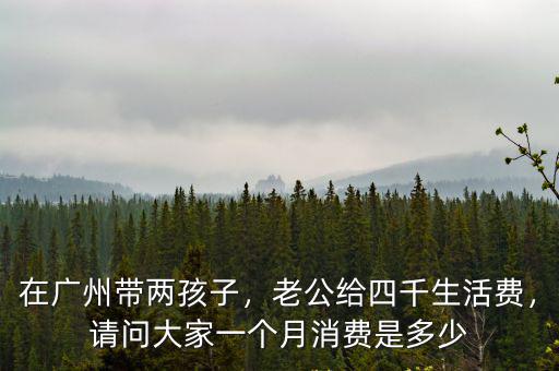在廣州幫人帶孩子多少錢,在廣州帶兩孩子