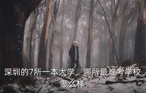 深圳的7所一本大學，哪所最難考學校怎么樣