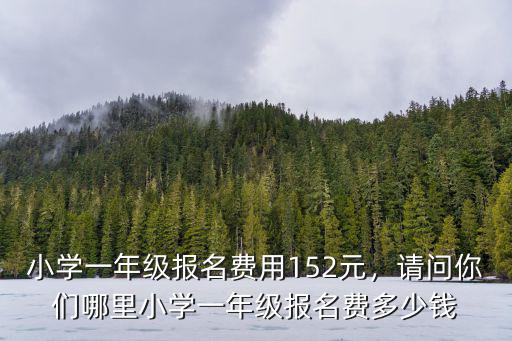 廣東省陸豐市小學報名費多少錢,六十年代上小學學雜費多少錢