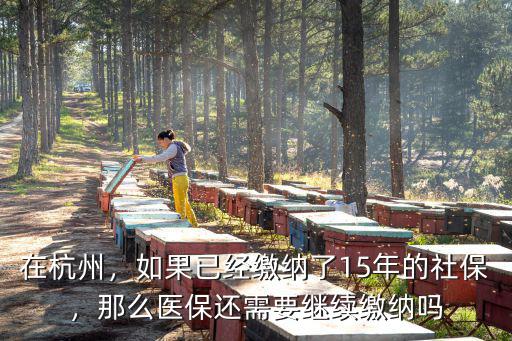 杭州醫保多少一年,在杭州申請社保的話