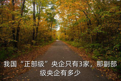 浙江有多少正部級干部,我國正部級央企只有3家