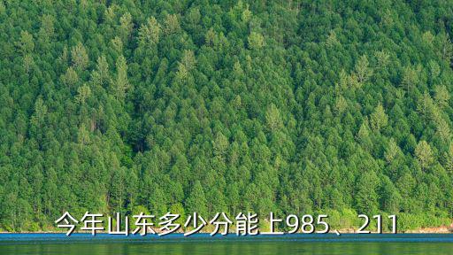 山東排名多少能上985211,今年山東多少分能上985