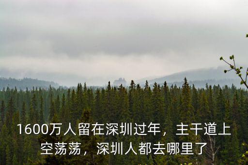 李瑋深圳哪里人,來了就是深圳人