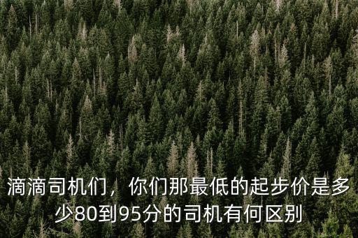 滴滴司機們，你們那最低的起步價是多少80到95分的司機有何區(qū)別