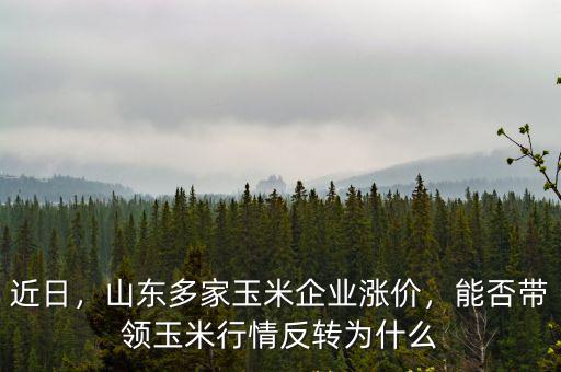 山東六和飼料玉米多少錢每噸,山東多家玉米企業漲價