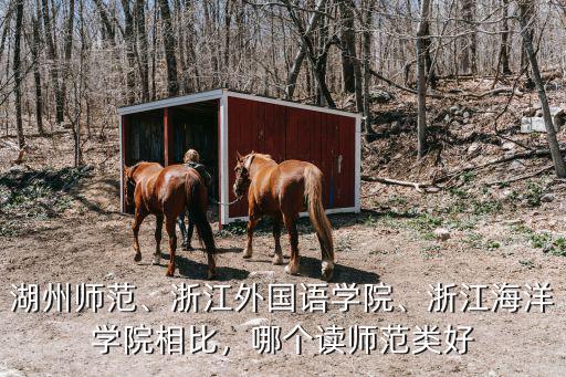 浙江海洋學院需要多少分,浙江海洋學院相比
