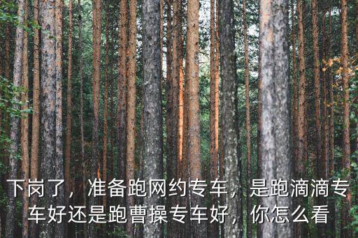 下崗了，準備跑網約專車，是跑滴滴專車好還是跑曹操專車好，你怎么看