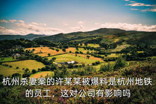 杭州殺妻案的許某某被爆料是杭州地鐵的員工，這對公司有影響嗎