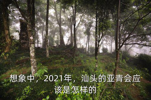 想象中，2021年，汕頭的亞青會應(yīng)該是怎樣的