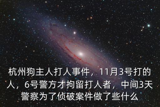 杭州狗主人打人事件，11月3號打的人，6號警方才拘留打人者，中間3天警察為了偵破案件做了些什么