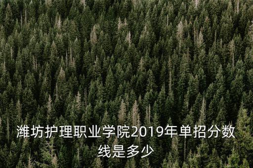 濰坊護理職業(yè)學(xué)院2019年單招分數(shù)線是多少