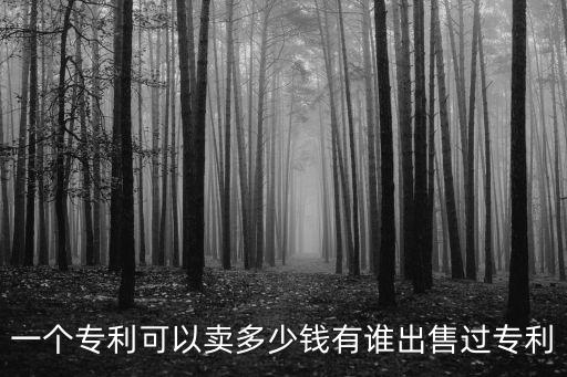 一個(gè)專利可以賣(mài)多少錢(qián)有誰(shuí)出售過(guò)專利