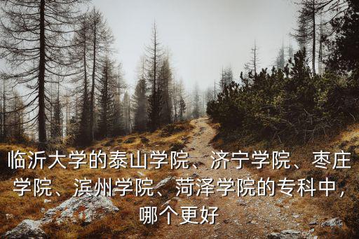 山東菏澤學院專科要多少分,菏澤學院的專科中